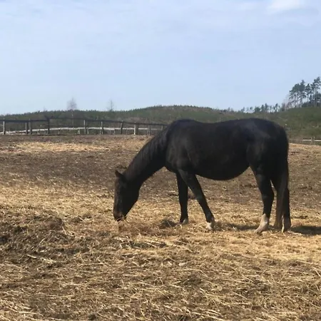 Kaszubski Loft * Sominy