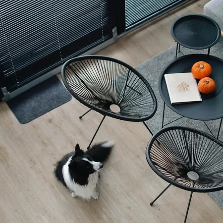 Kaszubski Loft * Sominy