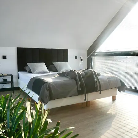 Kaszubski Loft Sominy