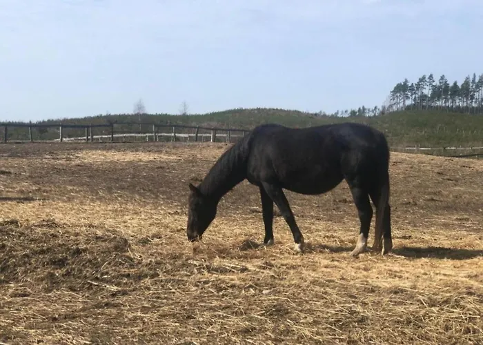 Kaszubski Loft * Sominy