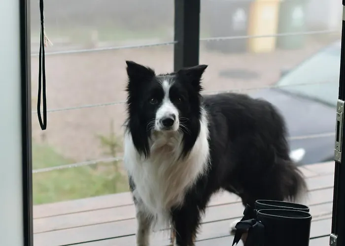 Kaszubski Loft Semesterbostad *